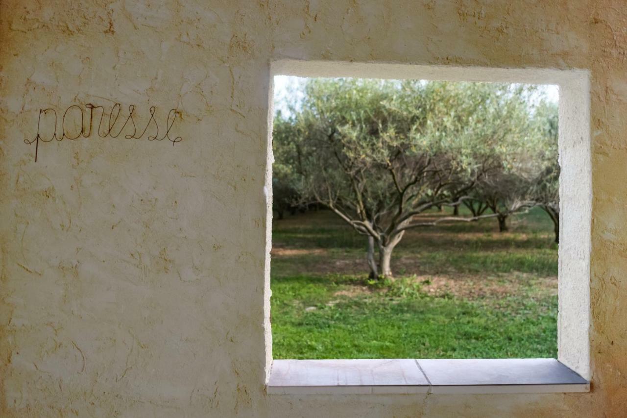 Mas De L'Arrivette Panzió Saint-Geniès-de-Comolas Kültér fotó